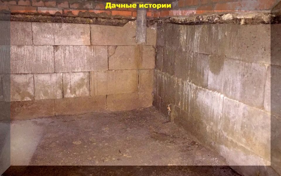 ��� ����������� ������ � ������� ��������: ������ ��� ���������� ��������