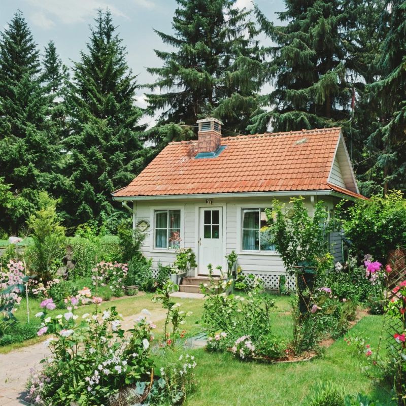 ������ ������: 20 ���� ��� ������� � ��������� ������������������� �� ����