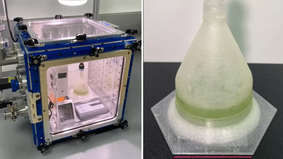 Водоросли на Красной планете: ключ к будущим марсианским экосистемам