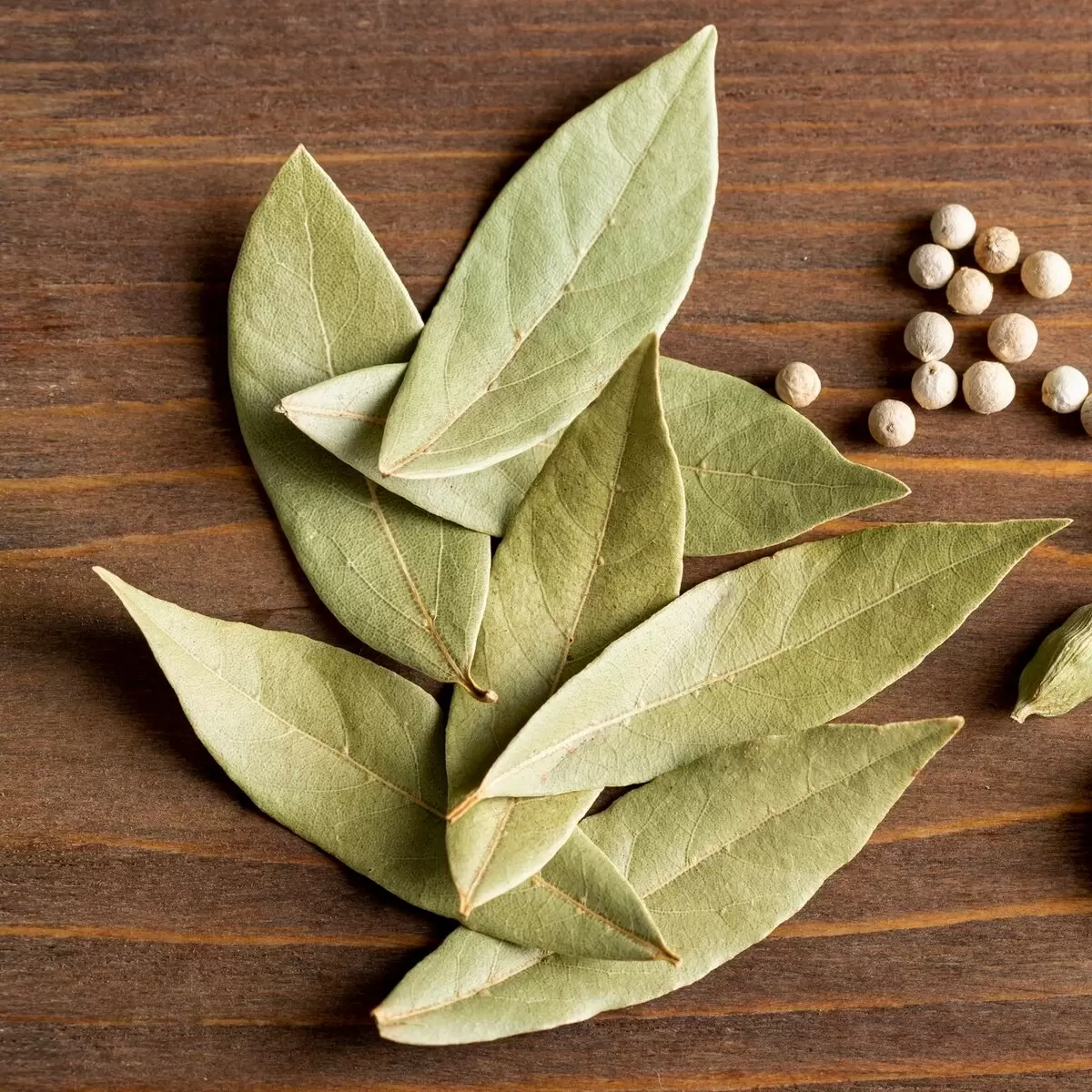 Правильное использование лаврового листа в супах и бульонах