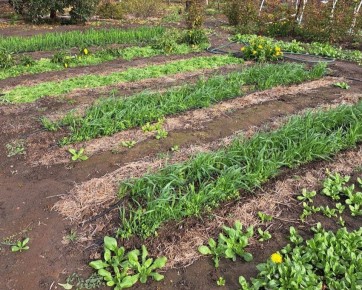 ��� ������������ ������ ������� ��� ������� � ��������� � ��������