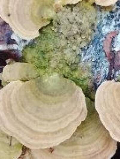 ������� ��� � ����: ������� ������� ���������� ��������