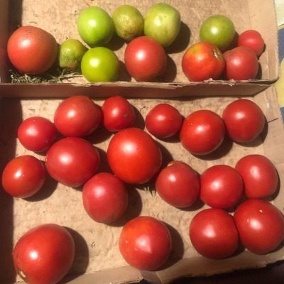 ����� ������� �����: ��������� ������ �� ���������� ��������� ������ ��� ��������� ������