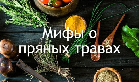 Раскрытие мифов о пряных травах: что стоит знать каждому кулинару