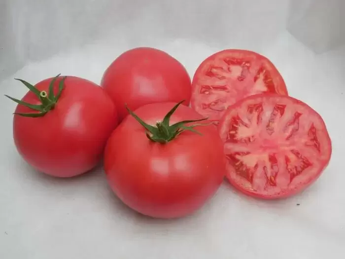 Томат Киото: секреты успешного выращивания крупноплодных и сочных помидоров