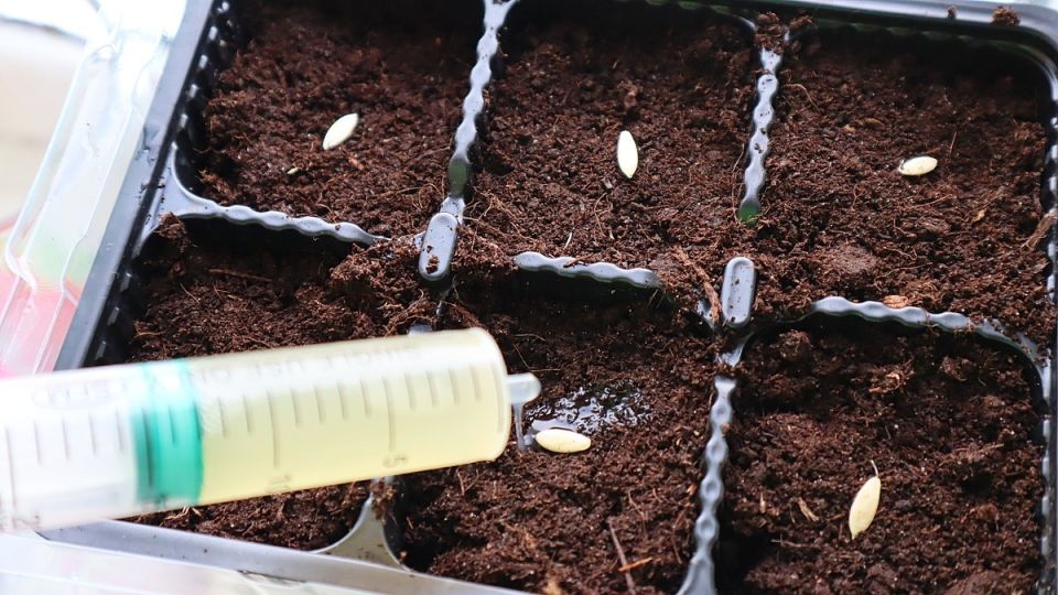 ������ ��������� ������� ������� �� ������� � ������