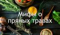 Раскрытие мифов о пряных травах: что стоит знать каждому кулинару