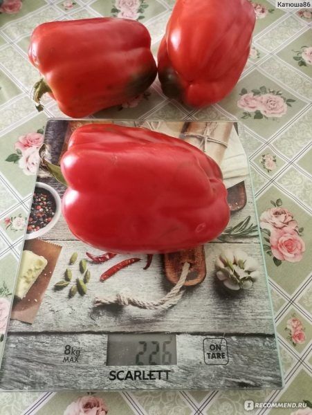 ����� �������: ��������� ����� ��� ������ ������