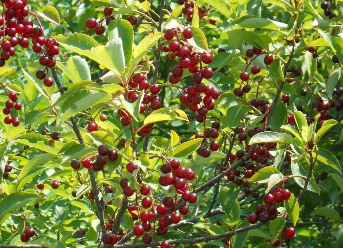 ��� ������ �������� ������: �������������� ���������� � ������� ��������� ��������