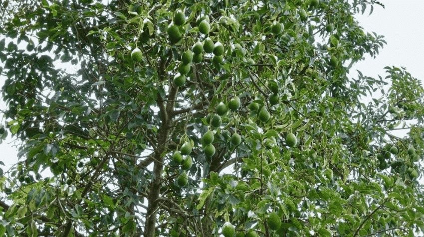 �������: �� ��������� �� ��������� ������