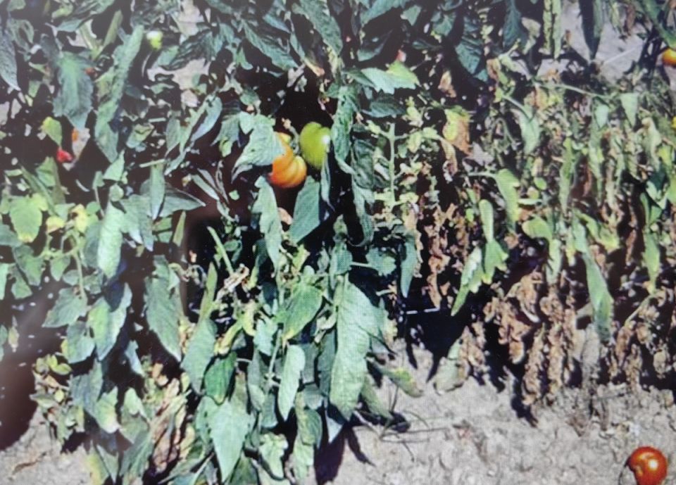 ��������� ���� � ������: ��� �������� ������ �� ��������