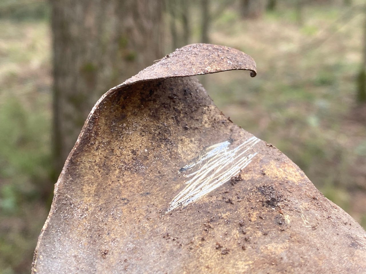 Тверские поисковики обследуют место падения советского самолета Тверские поисковики обследуют место падения советского самолета