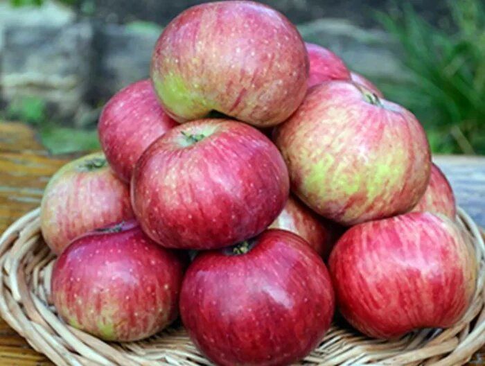 ������ ���� ���������: �������� � �������� �������� � �������� ��������������