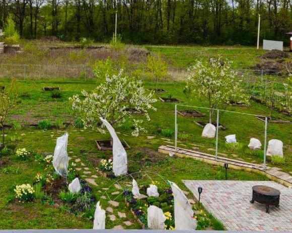 ��� �������� �������� � �����: ������ �� ����� � ������������