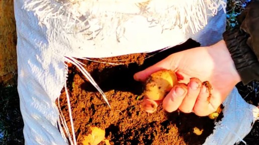 ������������� ������ ��������� ���������: ��� �� ��������� ����� ������