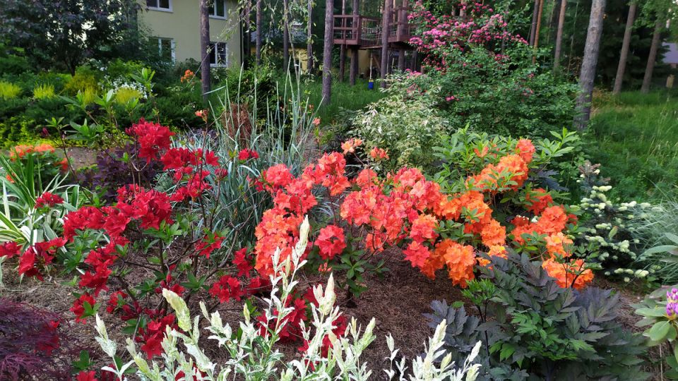 ������� ��������� ����� �� ��������������