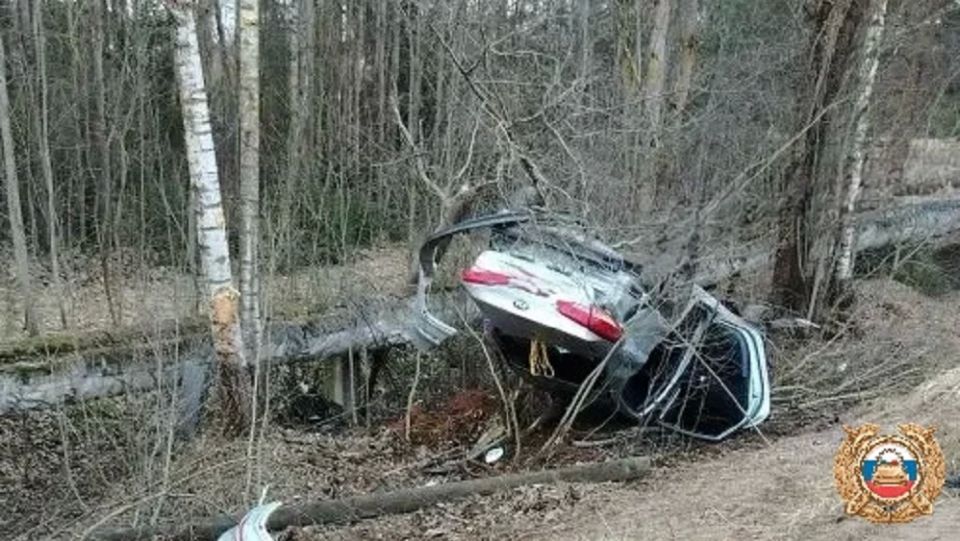 �������� ��������� ��� ����: ����� �������� ����������� ���������� ��� ��� ������