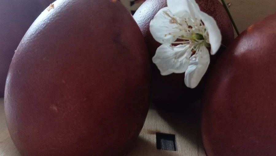 ��������� ���������, ��� ������ �� ��������� �� ���������� ���