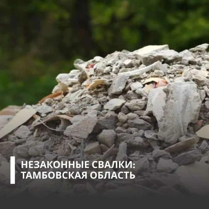 ���� ���������� ���������� ���������������� � ��������� ����� 7 ��� ������ ������, ������������ ������