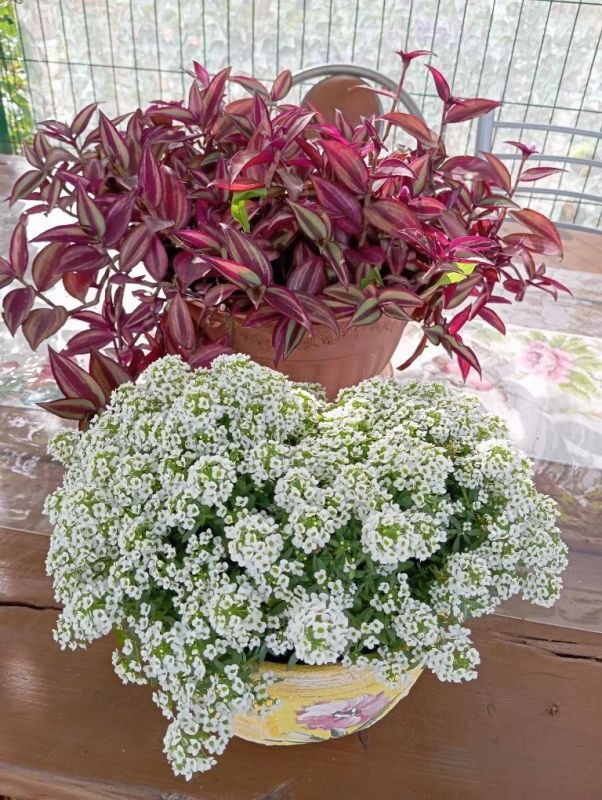 �������� ������� - � ������ �����, ��������� ������� � ������� �� ������������ ����