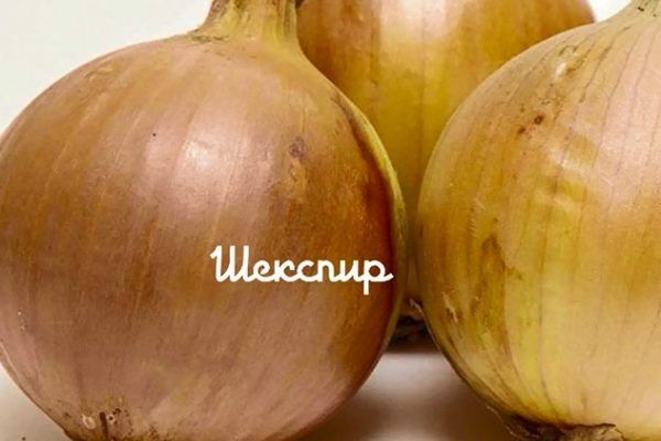 ��� �������: ��� ��������� ������ � ��������� ���� ���������� ����