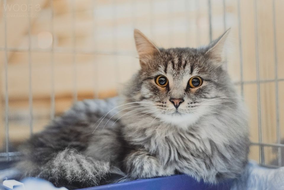 ���������� �� ��������� "���� � �����": ������� ������� ��� ���� �����