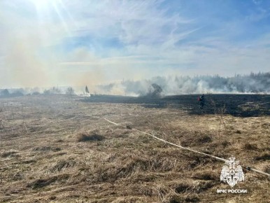С начала пожароопасного сезона (10 апреля) на территории Верхневолжья зарегистрировано 7 случаев горения сухой растительности на площади более 13 гектаров