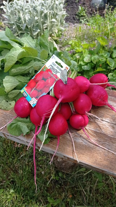 �����: ������������ ������ ��� ������ ������� � 2026 ����