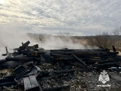 В Тверской области на пожаре погиб человек