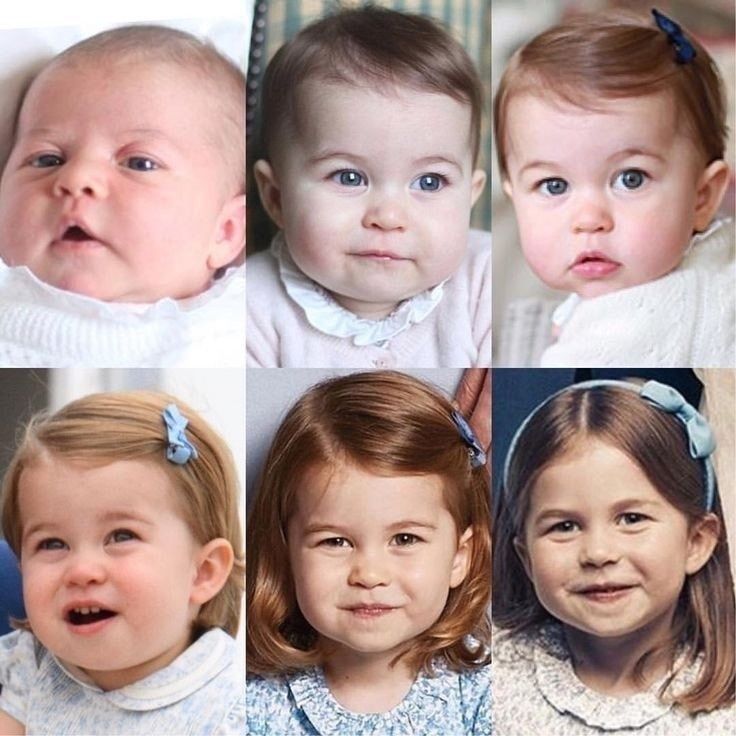 ������������ ��������� ��������: �� ����� ������� � ��������� ����