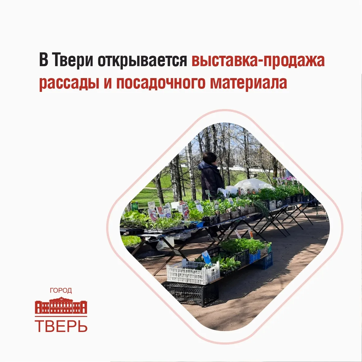 На набережной Афанасия Никитина напротив домов № 24 и № 22 начала работать традиционная выставка-продажа рассады и посадочного материала