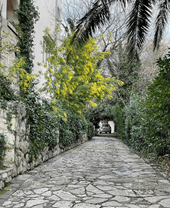 ������ ����� ������ ����� ��������