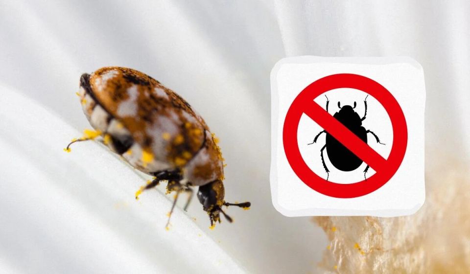 ��������� ����� � ����� ����: ����������� ������ � ������� ������� ������ � ����