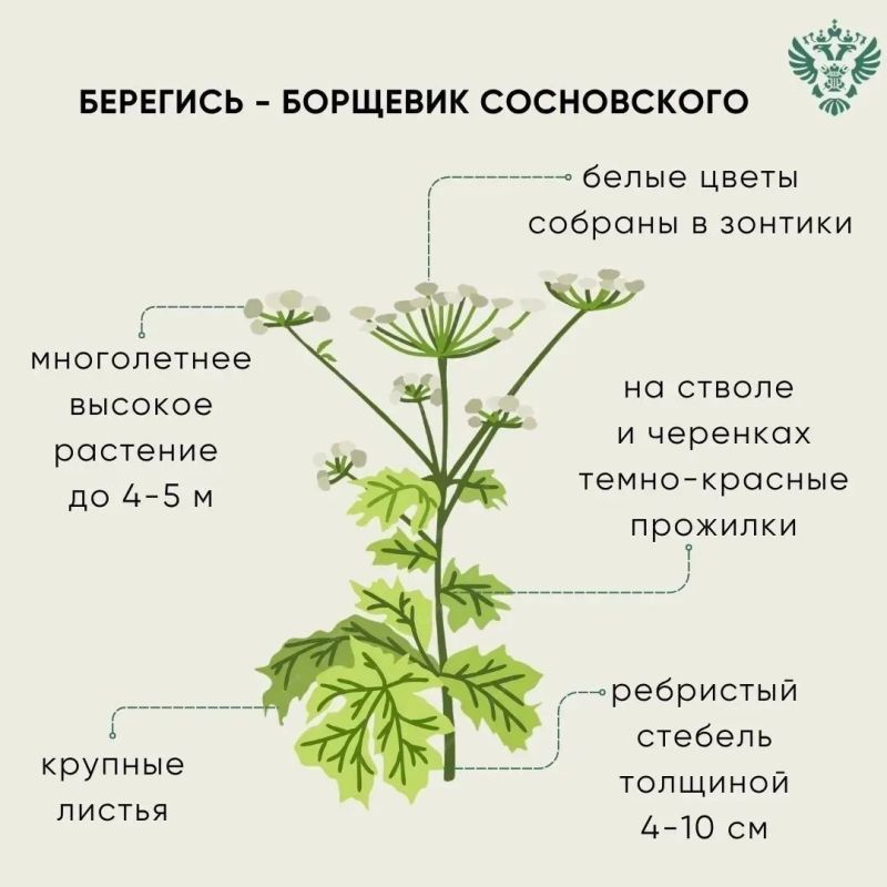 ���������: ��������!. ��� ��������� ����������� ������ � �������� ������� �����! � ���� ��������, ���� ��� �� ����������, ������ ����������� ����� ����������! �������� �������� ���������� ����������������� �� �������� �...