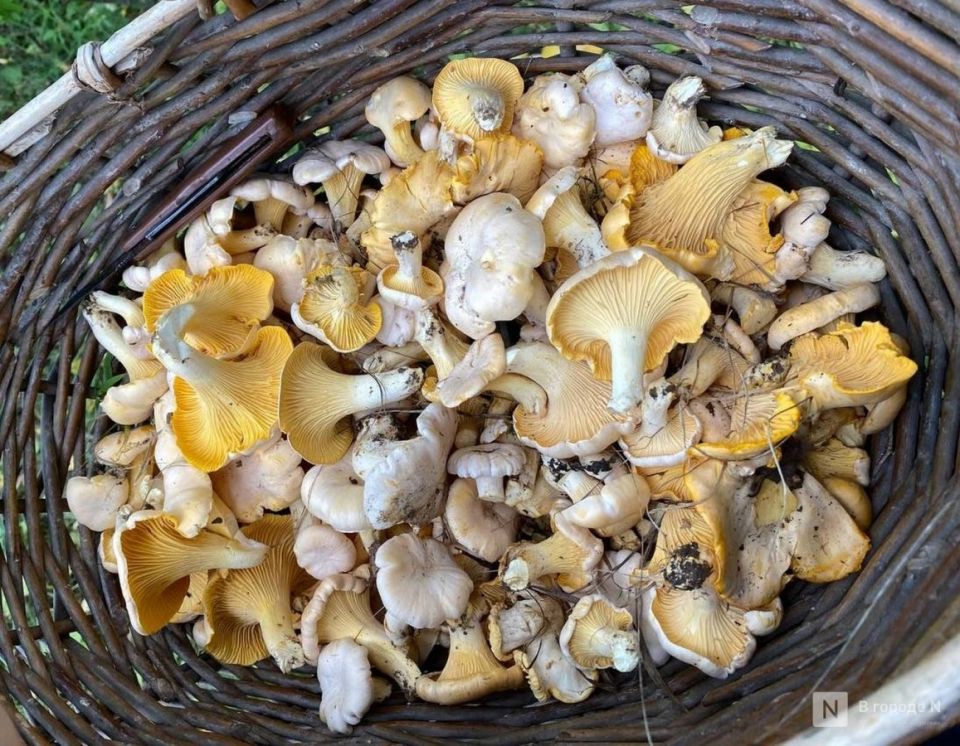 ������� � ����� ������: ��� ��� ����������� �������� �����?