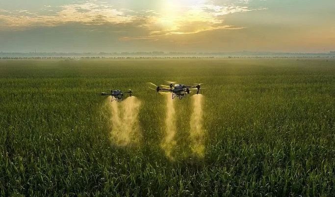 ����� ���������� � ������ � ���������� � �����