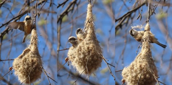 � �������� ������� ����������� ����������� ������, ������� �� �������