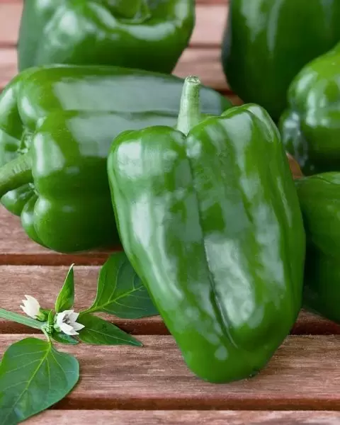 Перец Зеленое чудо: идеальный выбор для гастрономов и огородников