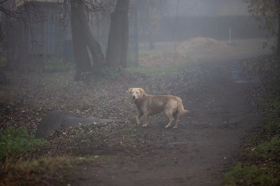 � �������� ������� �������� ������ �������� ���������