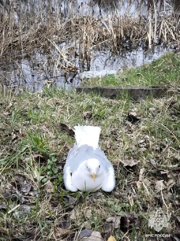 � ����� ��������� ���������� �����, ������������ � ����� � �������� �� ��������