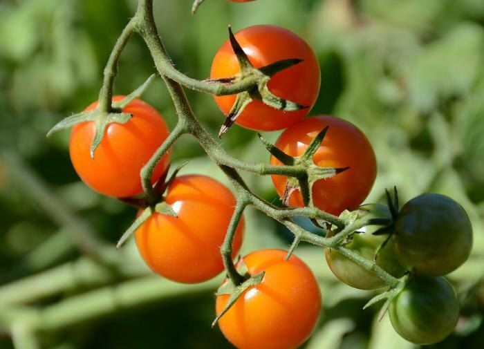 ������������ ������: ��� ������� ������������ � ������ ����� ��� ������ �������