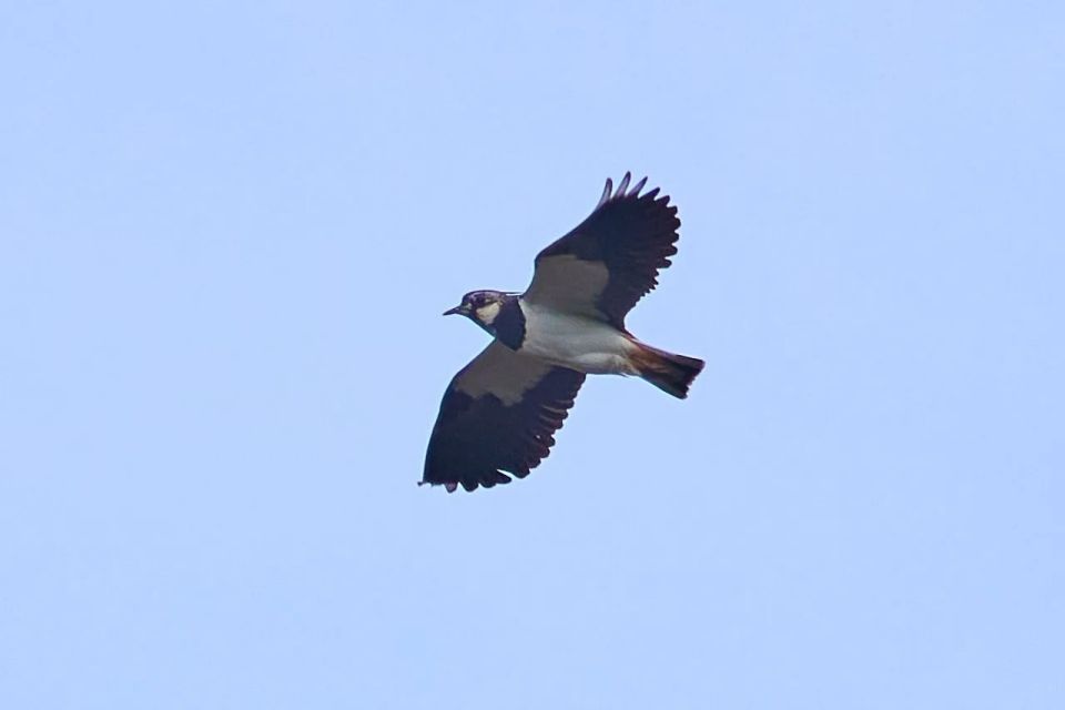 � �������� ������� ��������� �� ����������� ��������