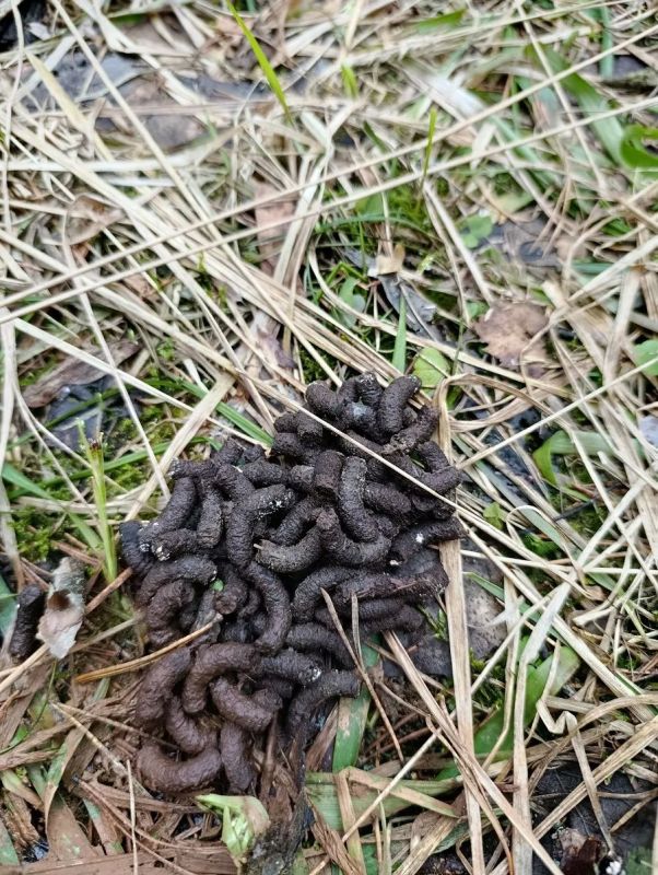 ������ �������� ������� ���������� �������� �� ����������� ������ �����������������