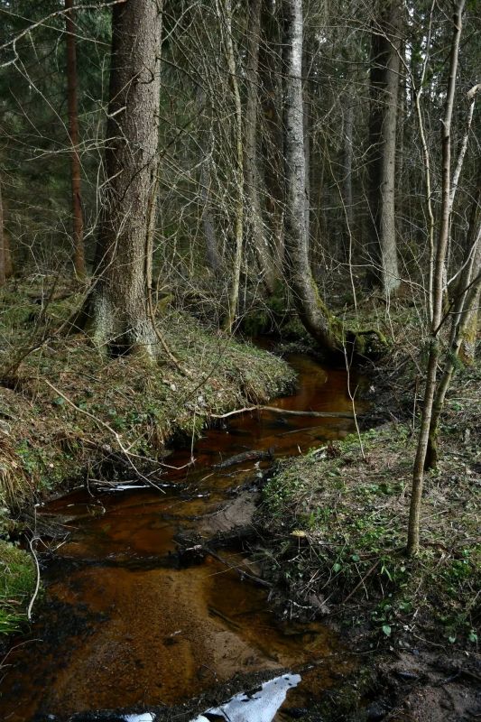 � ����������� �������� ������� �������� ����� �������� ������