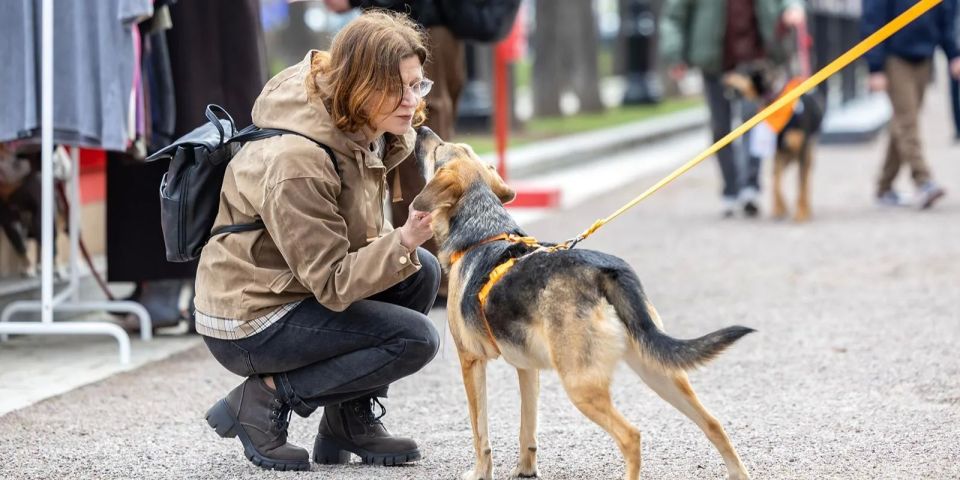 �� ����������� ������� ������������ ����� 50 ����� � ����� �� ������� ������ ���