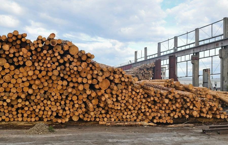 �� �������� ������� ��������� ���������, � �������� ������