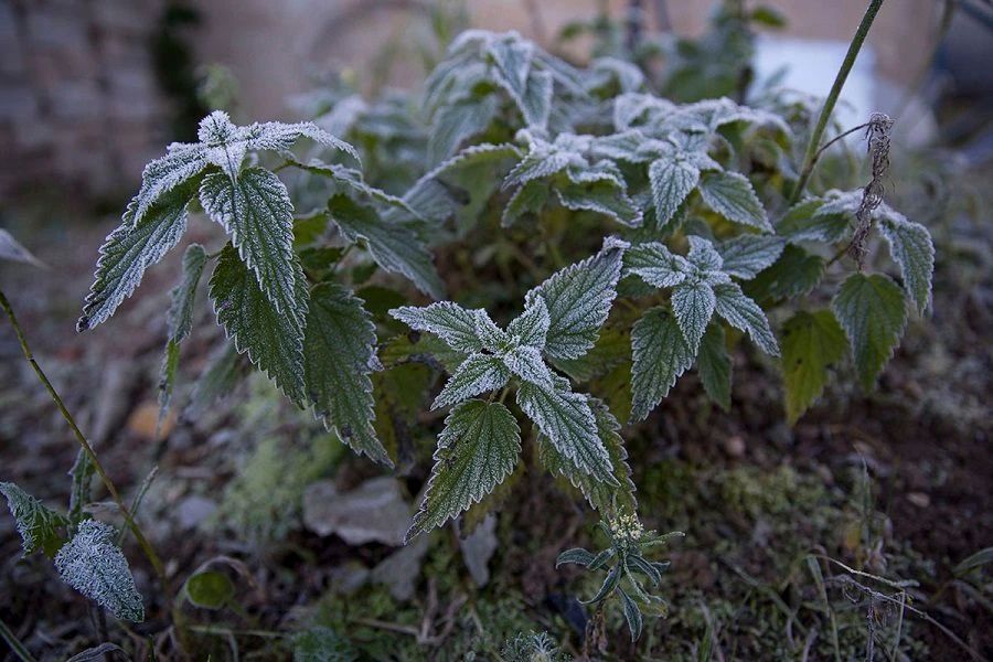 �������� ��������� � ������� ����� � ����������� ����� ������