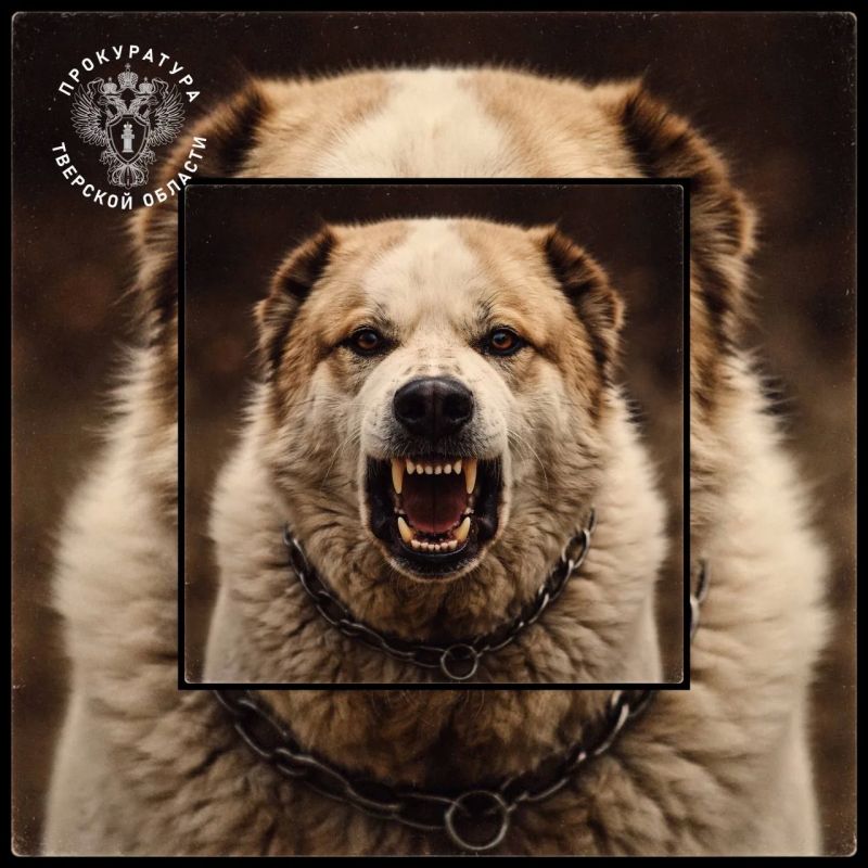 ��� ������� ����������� ���������� ����� � ������� ������, ��������� �������������������