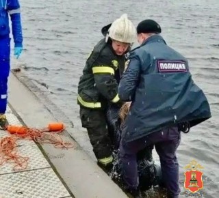 � ����� ���������� ������� ��������� �� ����������� �������� �� ���� �������