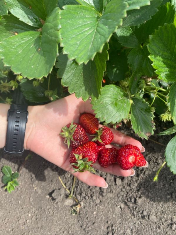 ��� ��������� �� ��������� � ���������: ������� ��������� ����